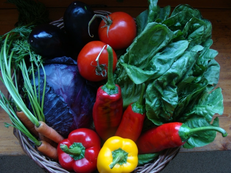 Basket of fresh vegetables
